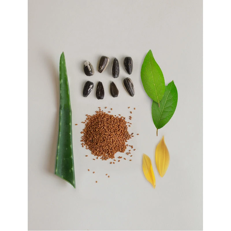 Balancing Shampoo Powder - Image 2