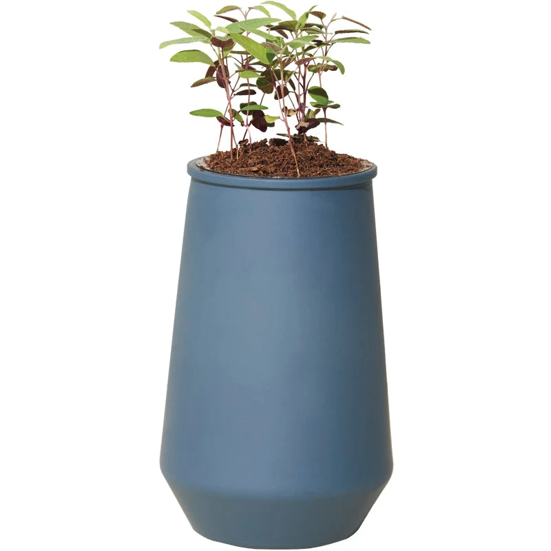 Eucalyptus Hydroponic Planter - Image 2
