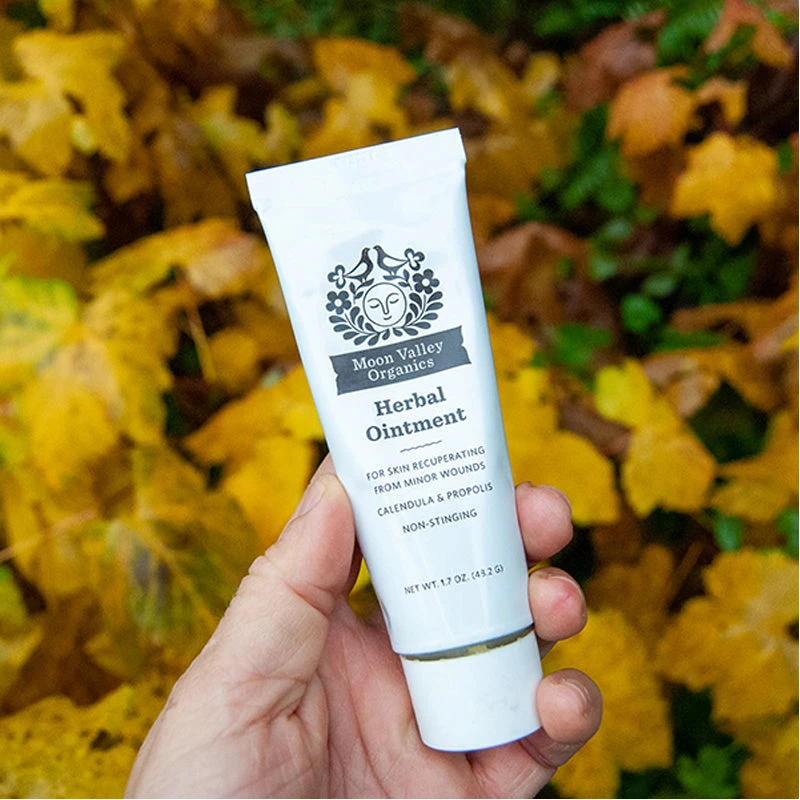 Organic Herbal Healing Salve - Image 4