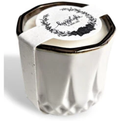 Astrid Vegan Soy Candle + Planter