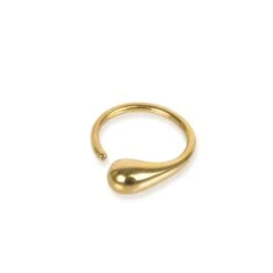 Delicate Dash Ring