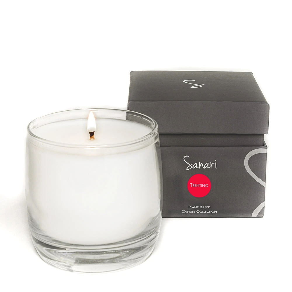 Trentino (Cinnamon, Vanilla, Clove) Organic Candle - Image 4