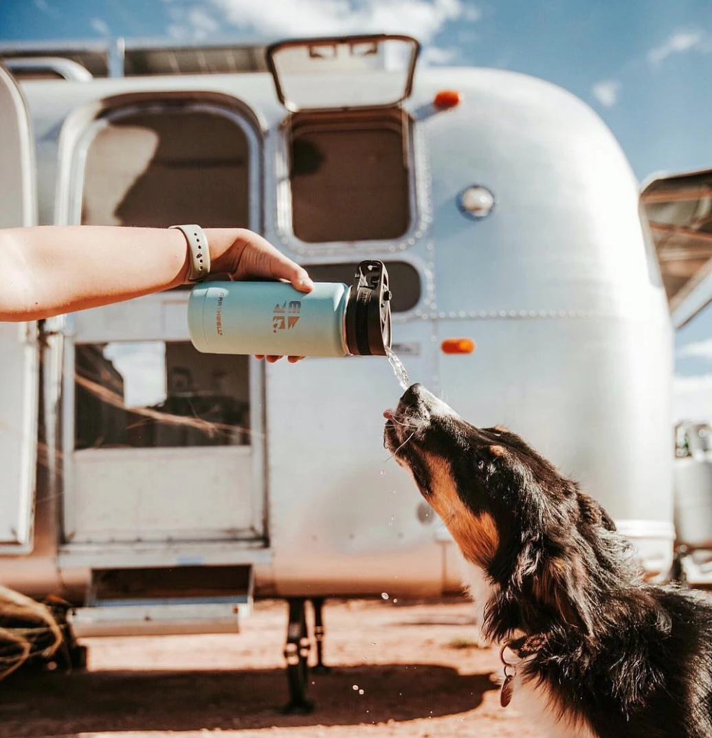 Roaster 16oz Wide Mouth Insulated Stainless Steel Bottle - Image 2