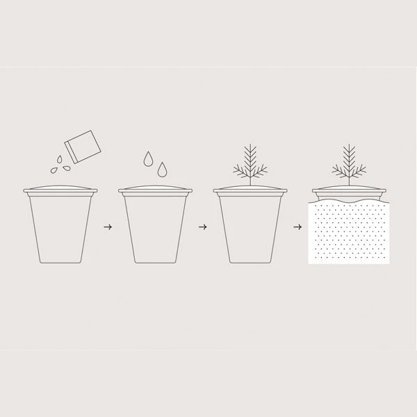 One-for-One Tree Starter Kit - Image 2