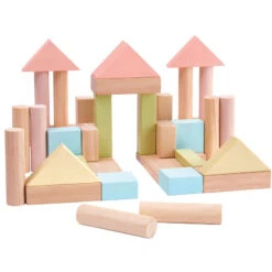 Plantoys Pastel Wooden Building Blocks - 40pc