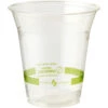 Clear Compostable Cold Cup 12oz